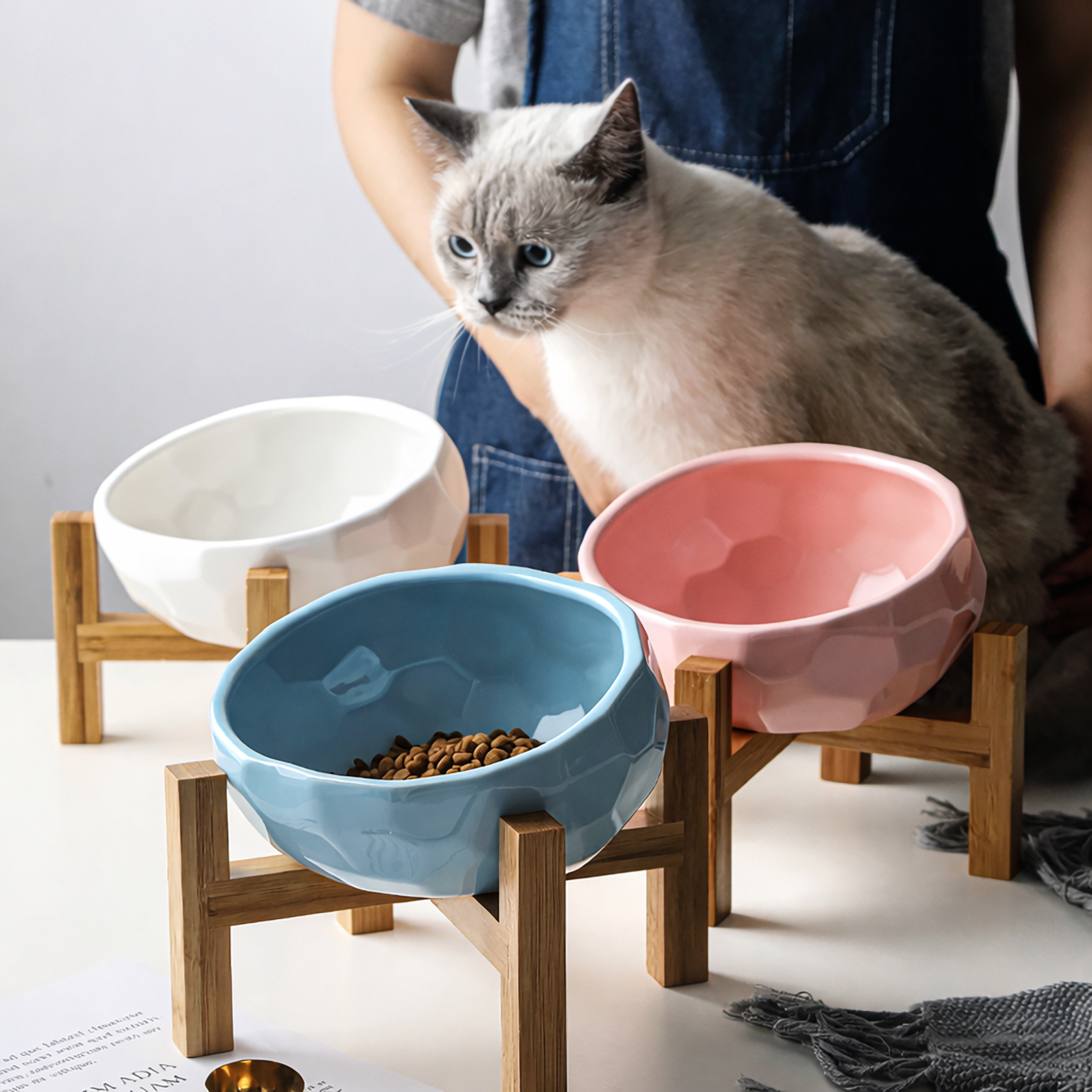 Pet food bowl mouth cat and dog